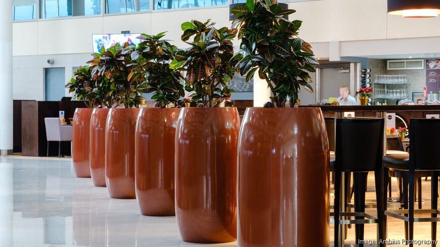 Biophilic design takes flight in Atlanta: How Ambius Atlanta uses plants to  enhance urban landscapes - Atlanta Business Chronicle
