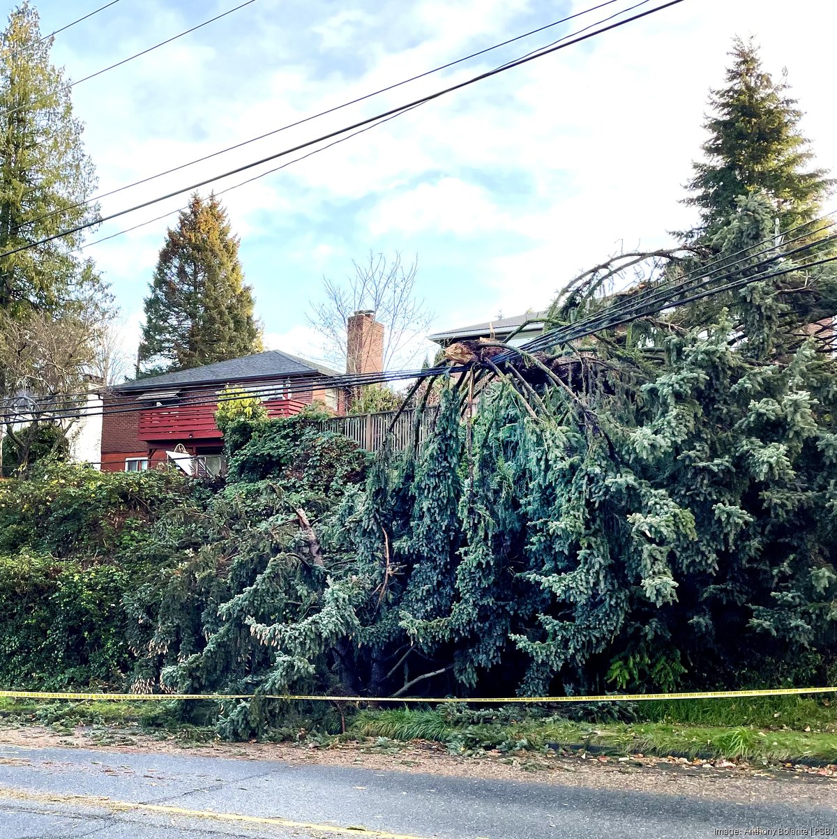 King County officials take action in wake of windstorm - Puget 
