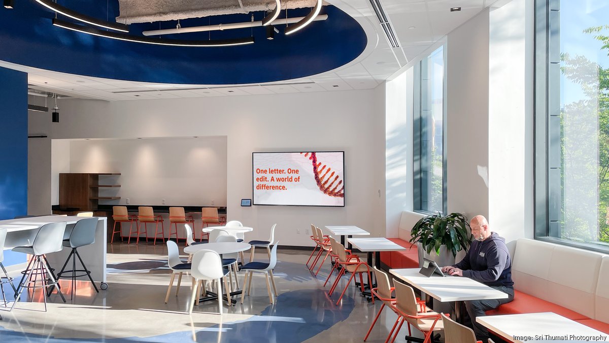 Blank Bio office