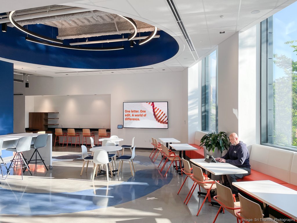 Korzh.com office