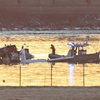 アメリカン航空の地域ジェットは、陸軍ヘリコプターとの衝突後にDCでcrash落します