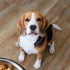 Golden Pet Manufacturing facility sold to out-of-state group for $62.7 million