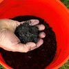 Minneapolis to start construction on carbon-capture biochar facility