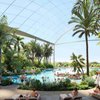 Thermeがダラスのダウンタウンを8億ドルのリゾートとスパで選んだ理由