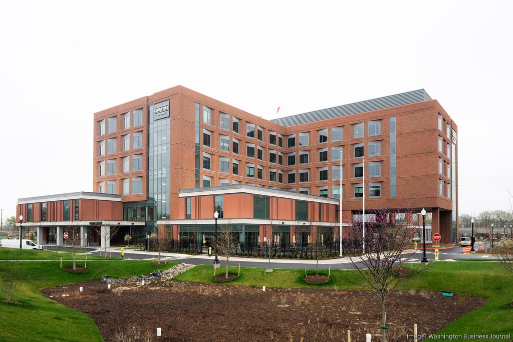 ヒル　hill dsc05473.jpg