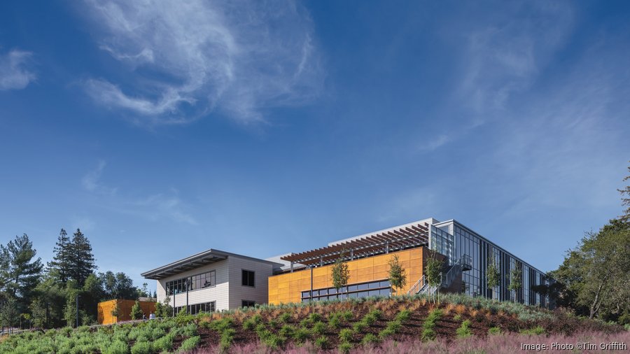 Coyote Software Group office