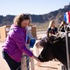 サンカントリー航空はインフルエンサー「thatmidwesternmom」アマンダエステンソンと一緒に旅行シリーズを発売します
