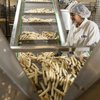 Scottsdale-based Frites Street aims to challenge frozen potato giants with artisanal approach
