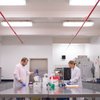 How Purina is turning imagination into innovation