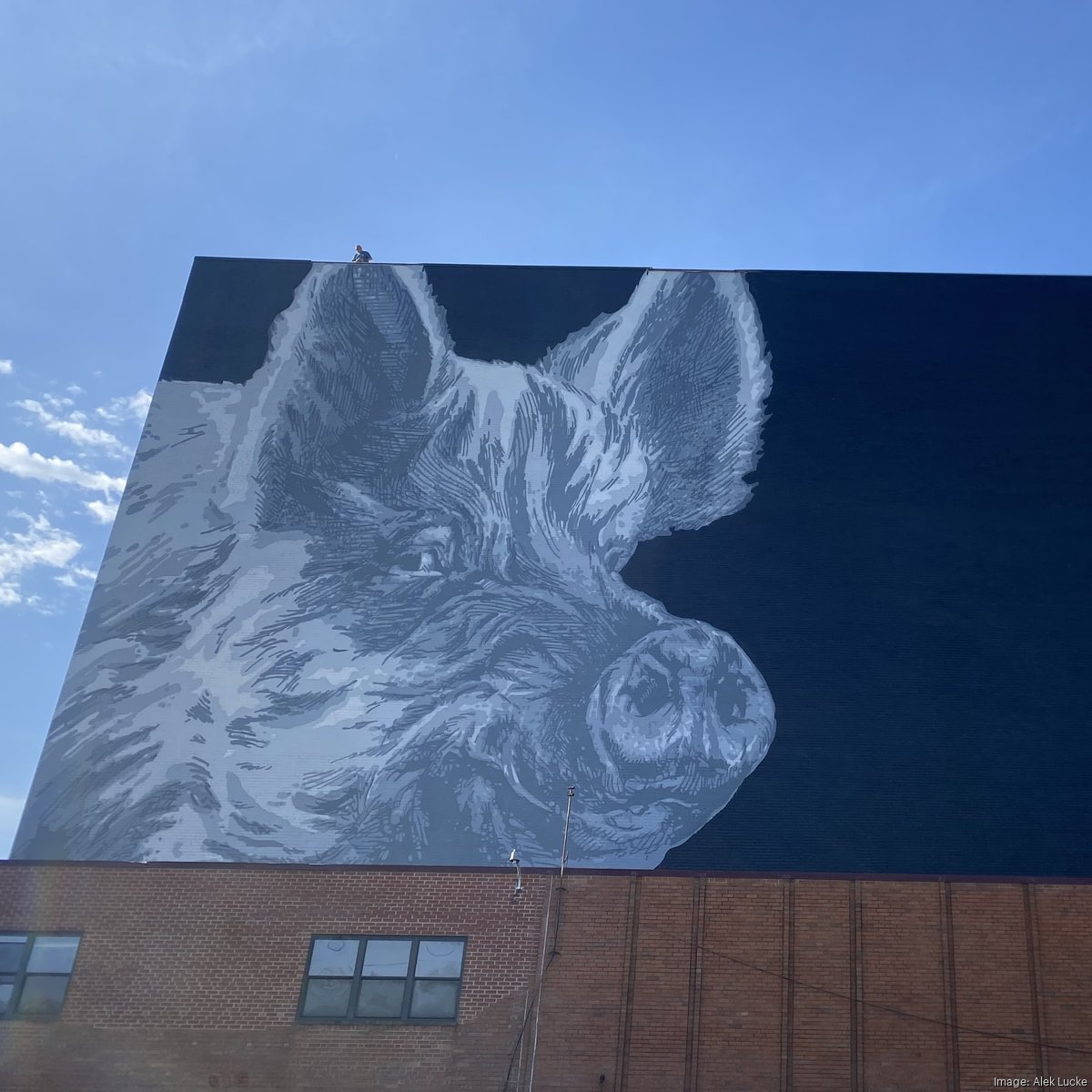 名作 NEIGHBORHOOD PIGS / L-JKT 名作NEIGHBORHOOD PIGS / L-JKT