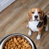 Pet food maker that's closing Missouri plant adds $450M new plant in Ohio