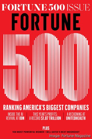 is nike a fortune 100 company