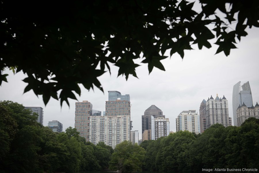 Atlanta’s divisive tree ordinance rewrite passes committee