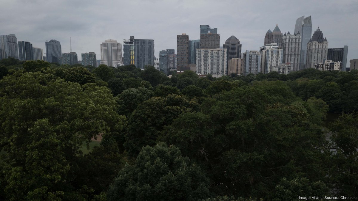 Atlanta City Council passes rewrite of tree protection ordinance ...