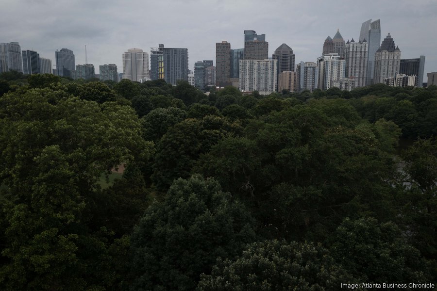 Atlanta City Council passes contentious rewrite of tree rules