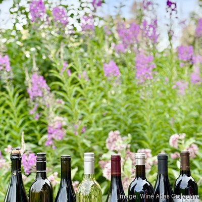 趣味・スポーツ・実用 The Wine Atlas of California with Oregon The Wine Atlas of California with Oregon 趣味・スポーツ・実用