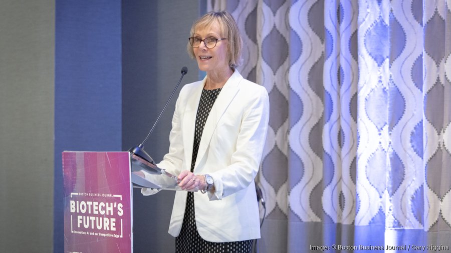 Biotech leaders talk AI, funding and Mass. biotech hub - Boston ...