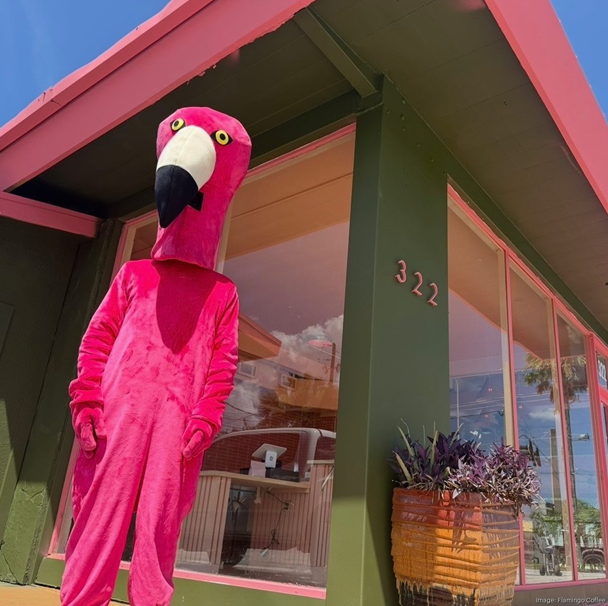 Flamingo Coffee greets St. Augustine clients at new store