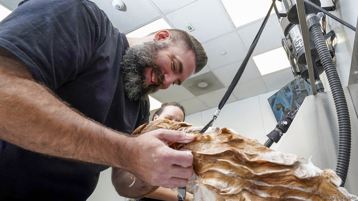 Scottsdale dog grooming startup raises $6 million to scale franchise model