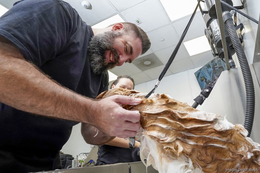 Scottsdale dog grooming startup raises $6 million to scale franchise model