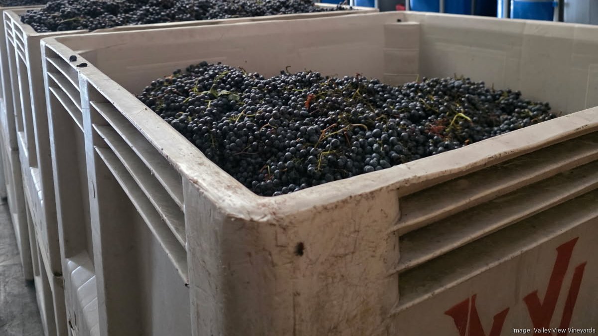 valley-view-grape-bins*1200xx1200-674-0-