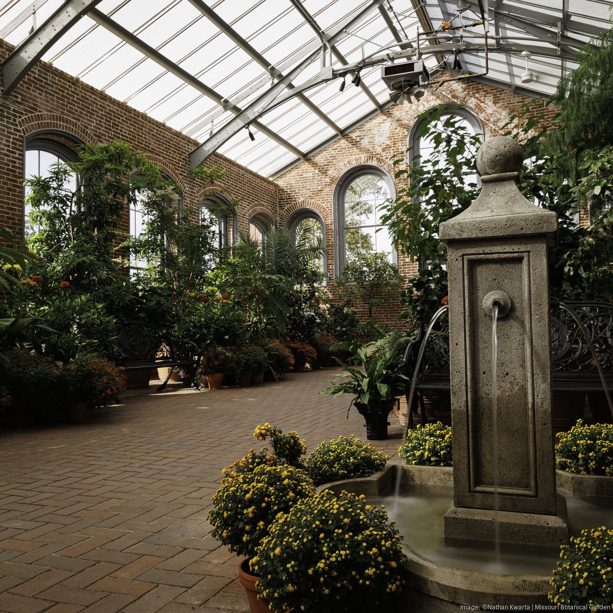 botanical garden 　　no1 linnean-house-fountainnathan-
