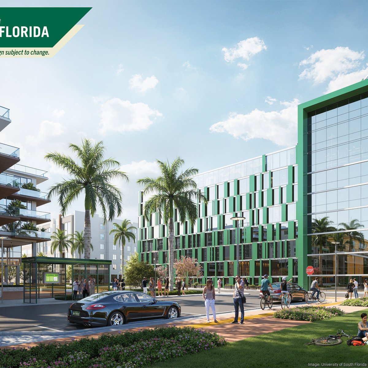 UNIVERSITY OF SOUTH FLORIDA (Tampa) - Qué SABER antes de ir