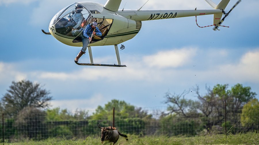 Picture of Buy & Sell Exotic Cars, Luxury Cars, & Classic Cars | Exotic Car Trader