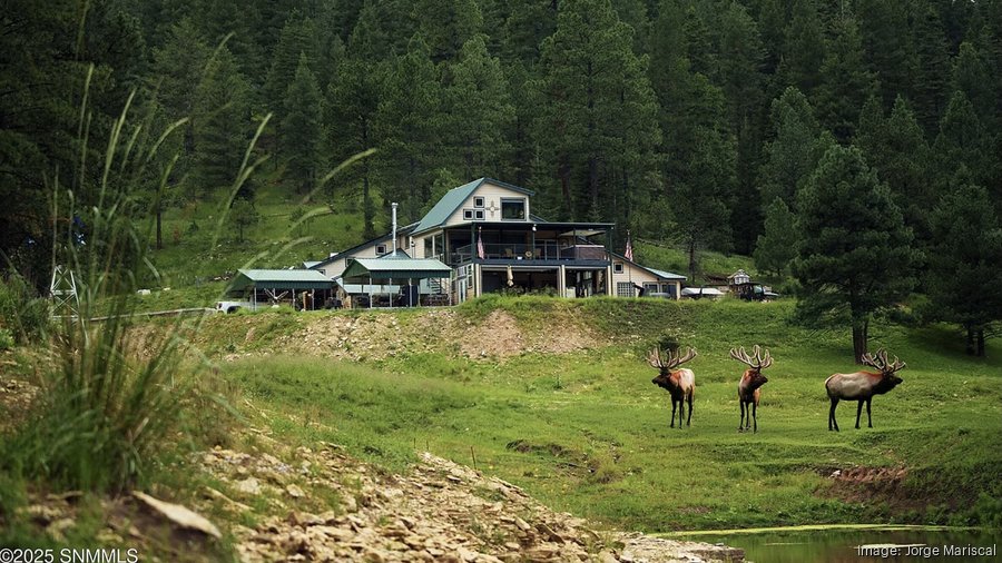 Spirit Bison Ranch 150-acre Spirit Ranch in southern New Mexico lists for $2.3M ...