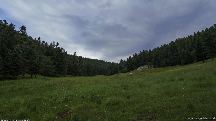 150-acre Spirit Ranch in southern New Mexico lists for $2.3M ...