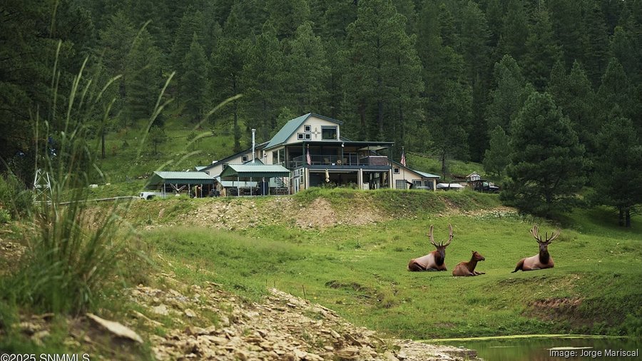 150-acre Spirit Ranch in southern New Mexico lists for $2.3M ...