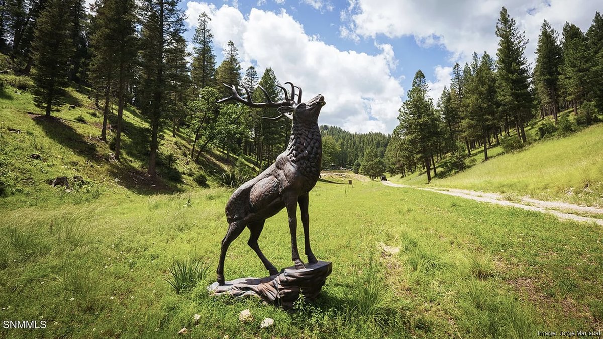 150-acre Spirit Ranch in southern New Mexico lists for $2.3M ...