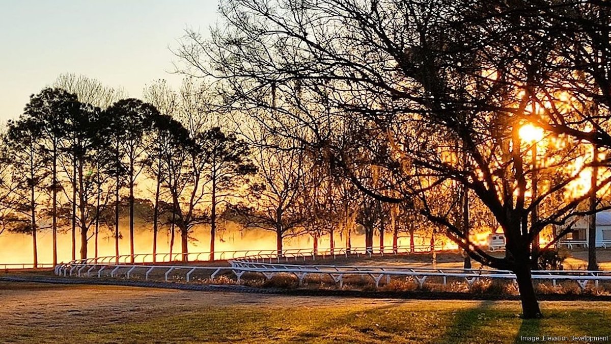 Curated visual reference: Gallery Detail: Tavares Equestrian Facility To Make Way For Horse Club Development