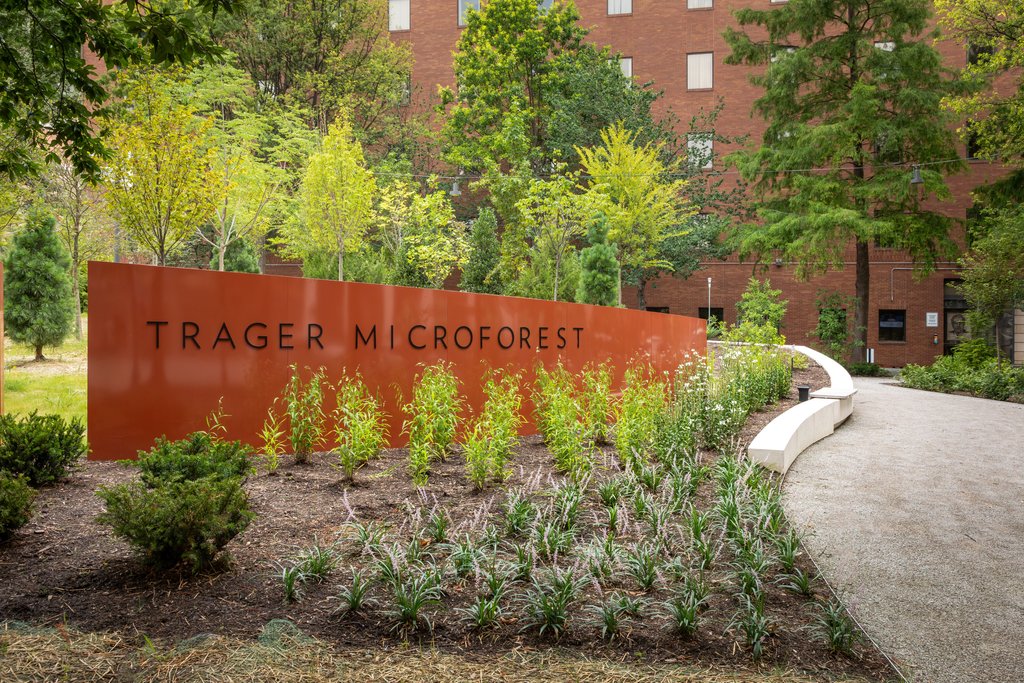 Trager Microforest – submitted by advertiser
