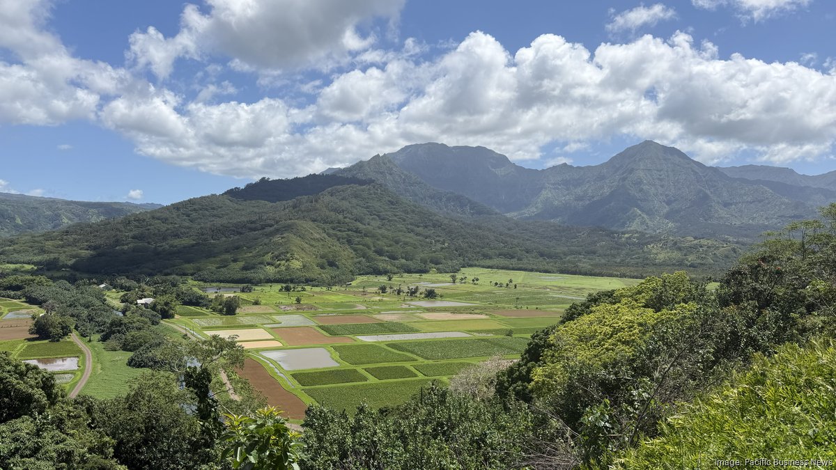 https://media.bizj.us/view/img/13186605/hanalei-kauai-farms*1200xx5611-3156-0-101.jpg