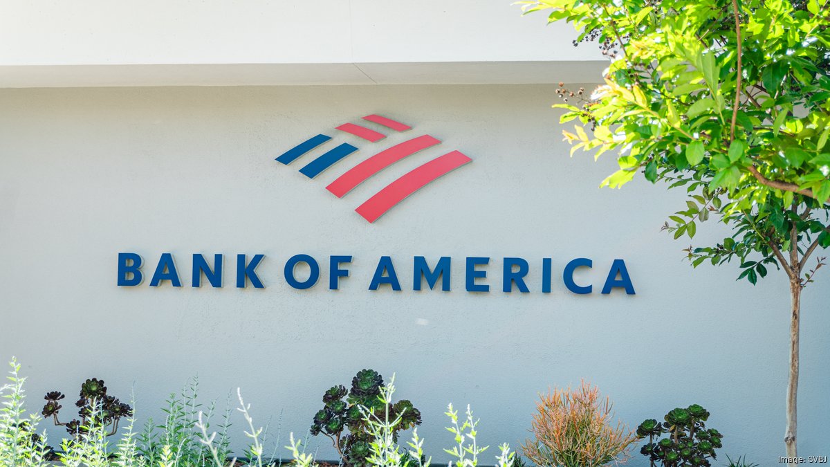 Bank of America pledges $250B for infrastructure as new initiative targets three key sectors
