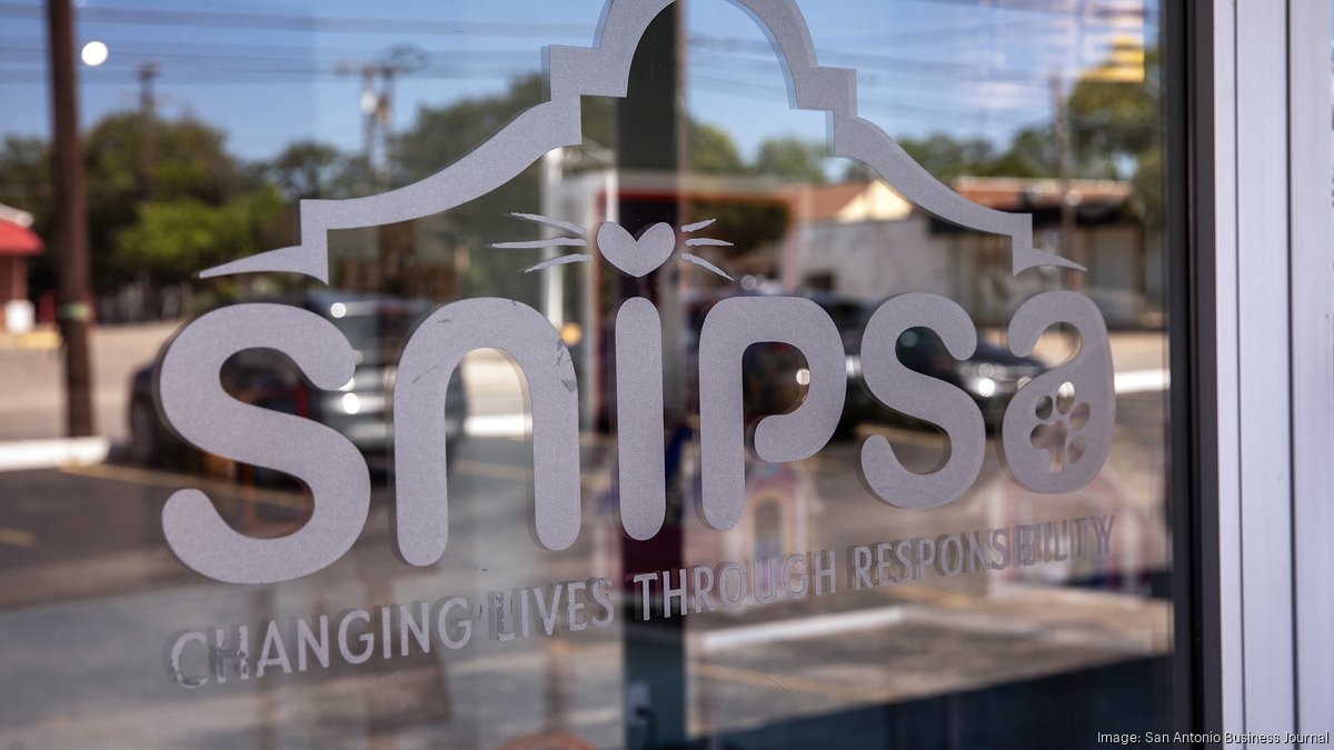 List Extra: Snipsa marks 20 years