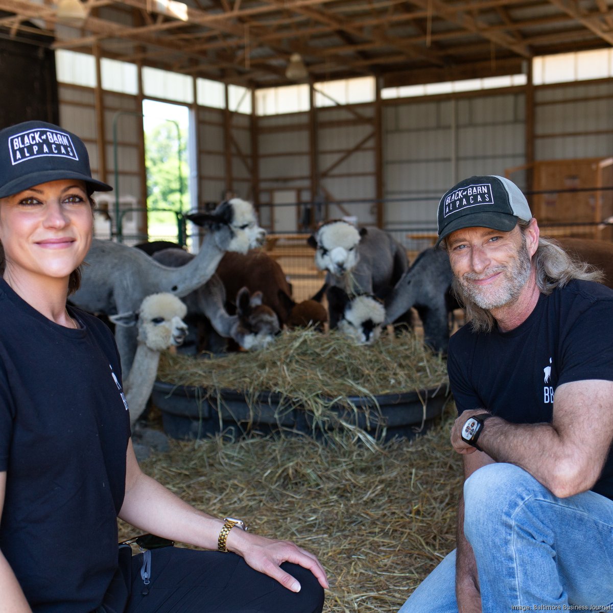 Black Barn Alpacas to open Sykesville shop for fleece products