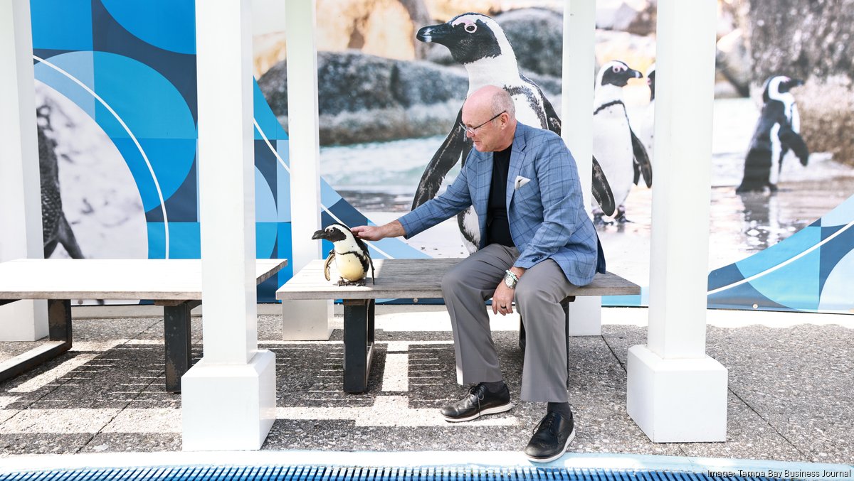 Diving deeper: Florida Aquarium's $45M expansion is just the beginning