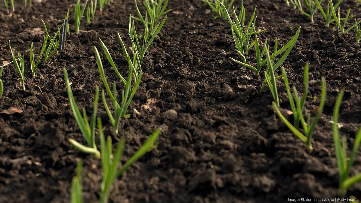 Wisconsin agtech startup raises $5M to create AI-designed herbicides