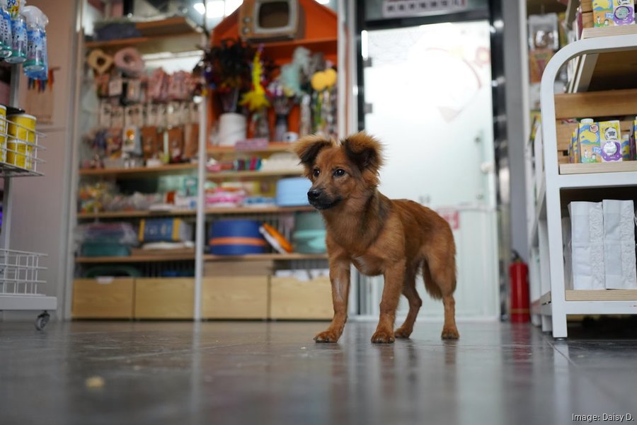 Tractor Supply closing 74 pet stores, including one in Polk County