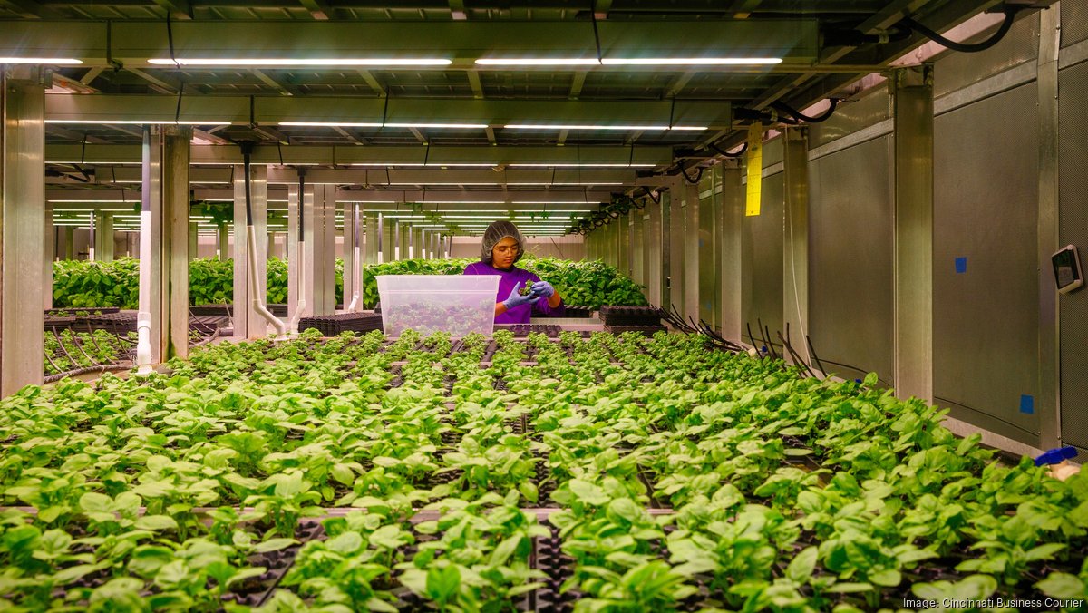 Former Cincinnati startup darling 80 Acres Farms files for bankruptcy