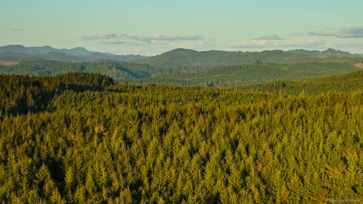 Pacific Northwest timber giant opens 145K acres to geothermal development