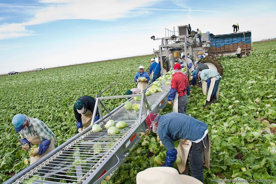 Colorado River cuts haven’t hit Arizona farmers yet, but that might be coming