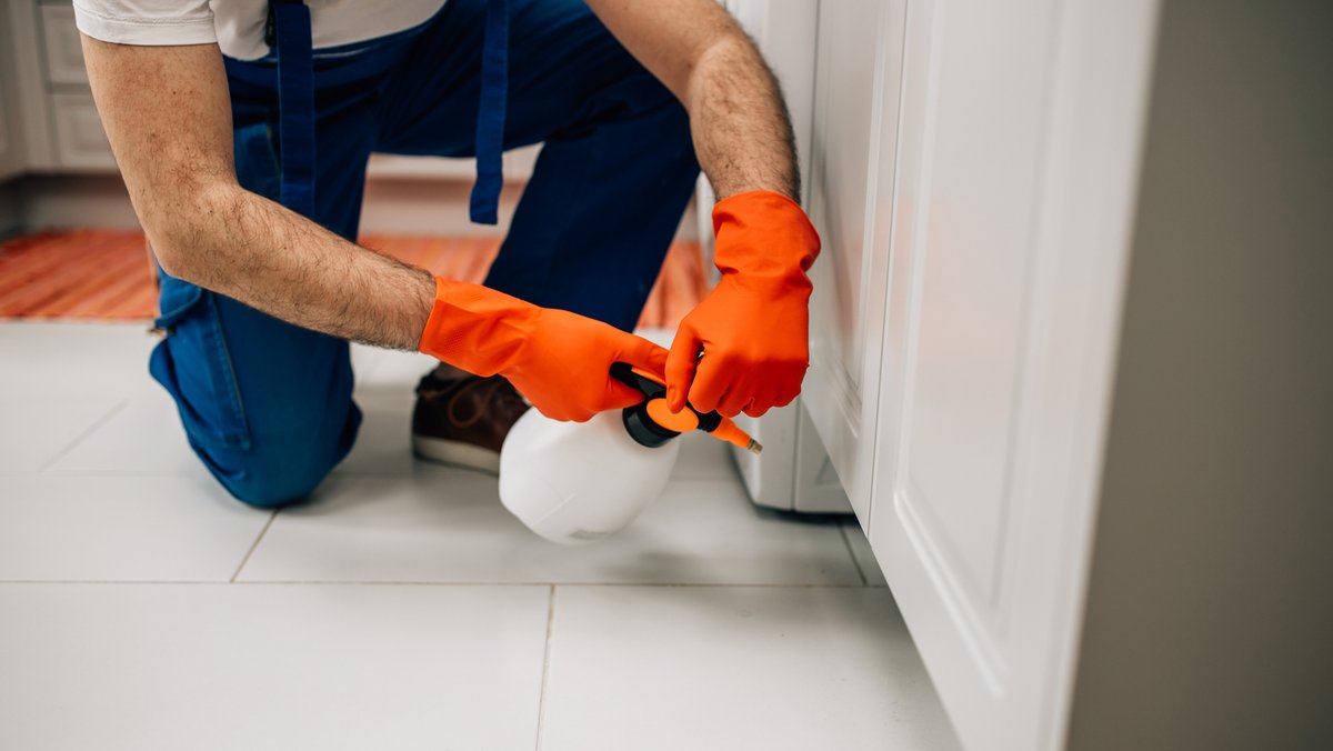 How this mom went from living on food stamps to developing a $20M pest repellent company - Charlotte Business Journal