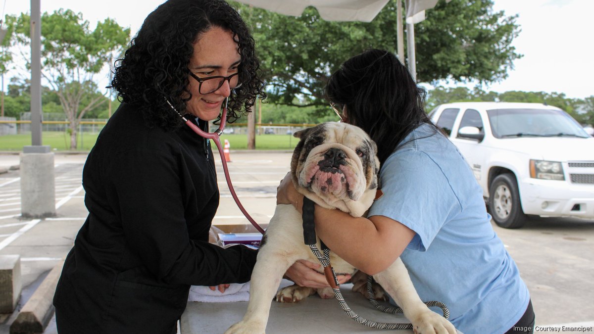 Emancipet receives $3M donation to quadruple mobile vet clinic fleet in Houston, elsewhere