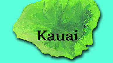 Kauai Single Family Home Prices Jump By 50 In May Condo Prices