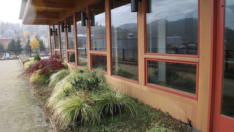 Oregon's Tofurky sold to Morinaga Nutritional Foods Portland Business