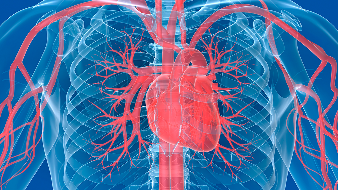 Minne Inno - 4C Medical raises $10M to treat heart disease