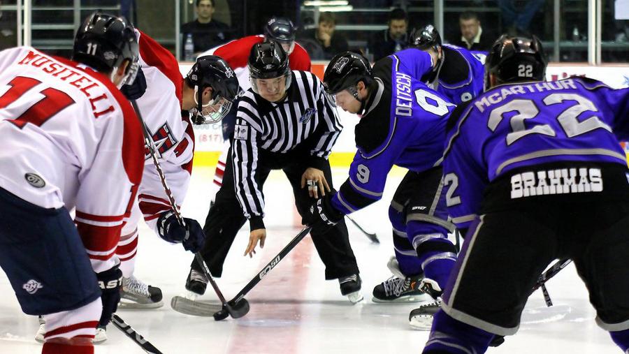 Business Pulse Poll Would you like to see minor league hockey return